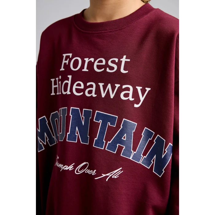 Defacto I3081A8BR115 Bordo Overshirt Fit Bisiklet Yaka Baskılı Sweatshirt Erkek Çocuk