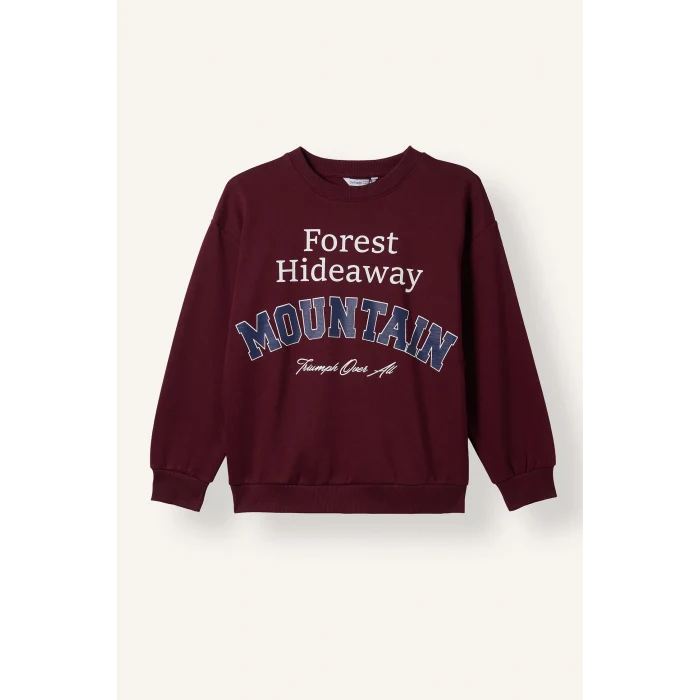 Defacto I3081A8BR115 Bordo Overshirt Fit Bisiklet Yaka Baskılı Sweatshirt Erkek Çocuk