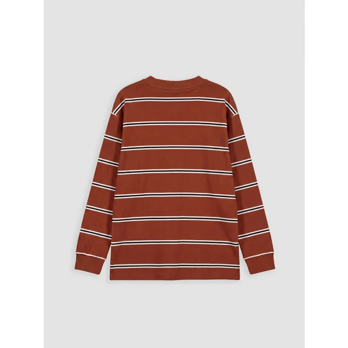 LCW Kids Kahverengi Bisiklet Yaka Çizgili Erkek Çocuk Tişört