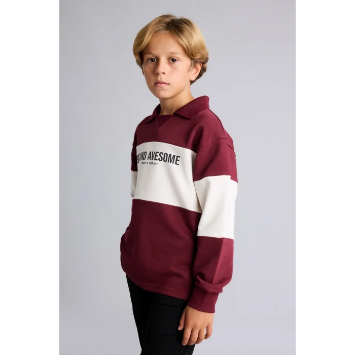 Defacto H8484A8BR115 Bordo Polo Yaka Baskılı Renk Bloklu 2li Takım Erkek Çocuk