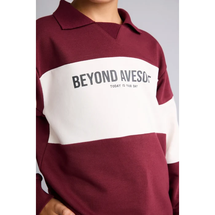 Defacto H8484A8BR115 Bordo Polo Yaka Baskılı Renk Bloklu 2li Takım Erkek Çocuk