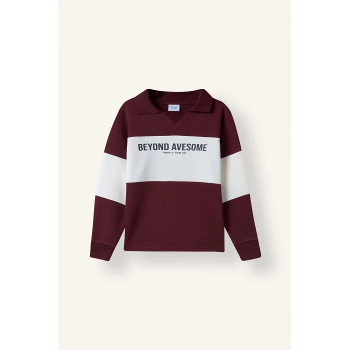 Defacto H8484A8BR115 Bordo Polo Yaka Baskılı Renk Bloklu 2li Takım Erkek Çocuk