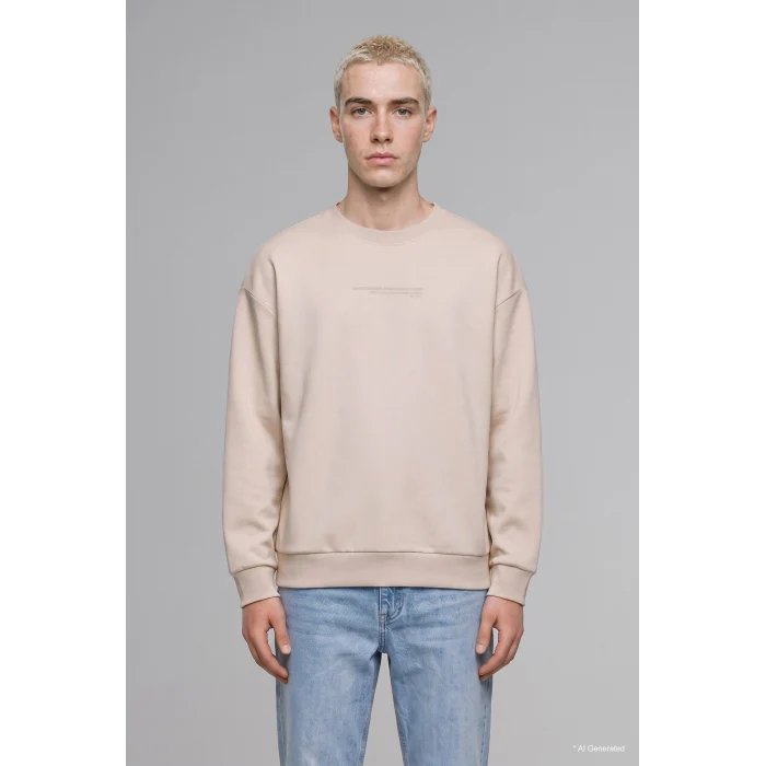 Defacto X8282AZGR169 Gri Boxy Fit Uzun Kollu Pamuklu Bisiklet Yaka İçi Yumuşak Tüylü Baskılı Sweatshirt