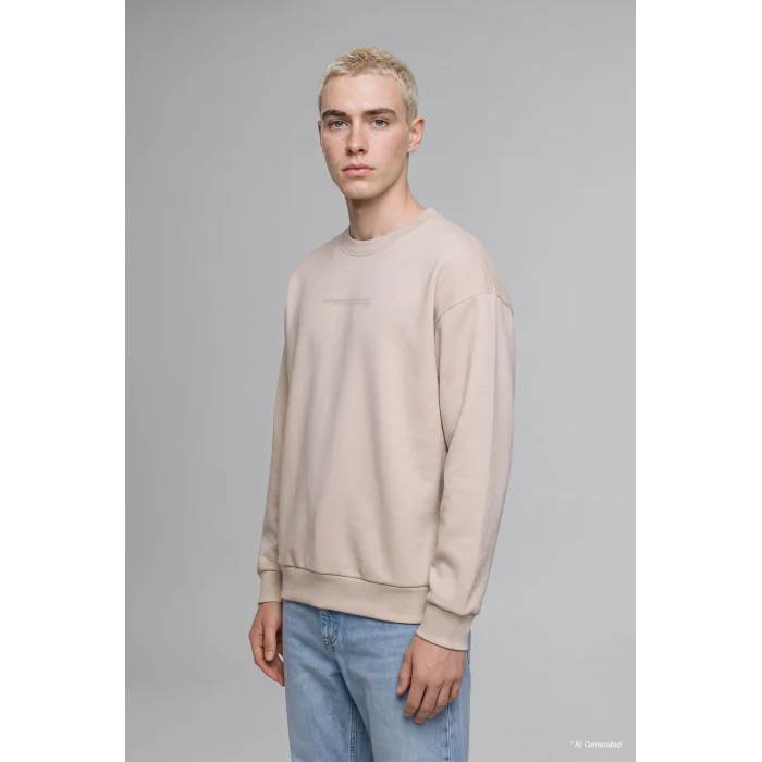 Defacto X8282AZGR169 Gri Boxy Fit Uzun Kollu Pamuklu Bisiklet Yaka İçi Yumuşak Tüylü Baskılı Sweatshirt