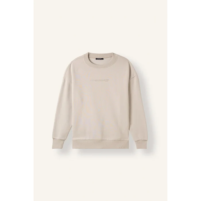 Defacto X8282AZGR169 Gri Boxy Fit Uzun Kollu Pamuklu Bisiklet Yaka İçi Yumuşak Tüylü Baskılı Sweatshirt