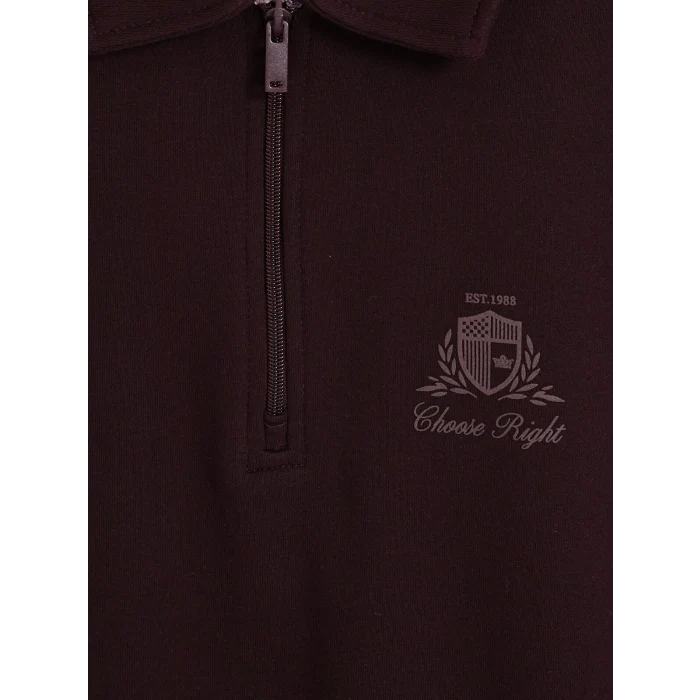LCWAIKIKI Classic Mürdüm Polo Yaka Erkek Kalın Sweatshirt