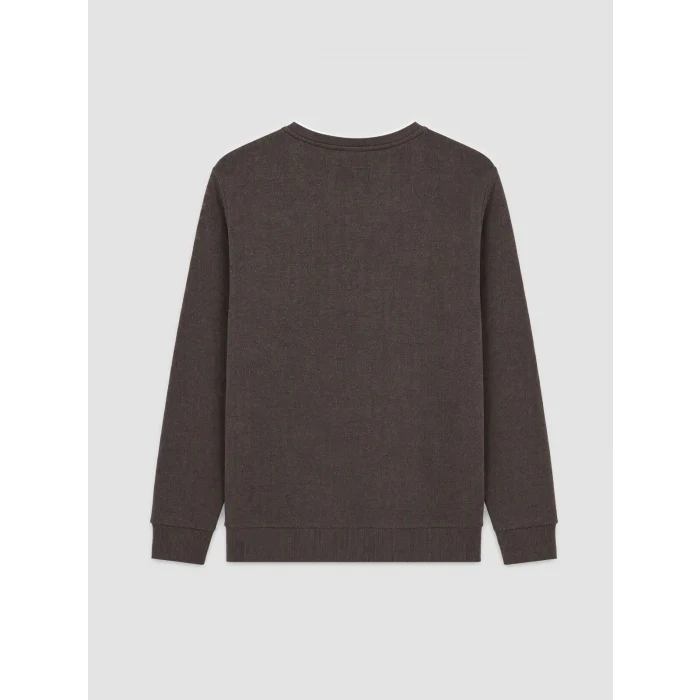 LCWAIKIKI Classic Kahverengi Bisiklet Yaka Erkek Sweatshirt