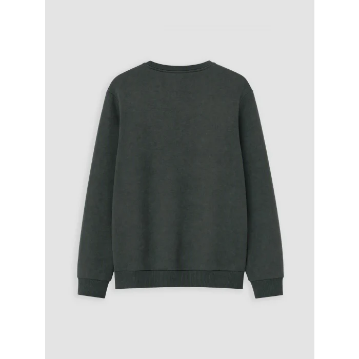 LCWAIKIKI Classic Haki Bisiklet Yaka Baskılı Erkek Kalın Sweatshirt