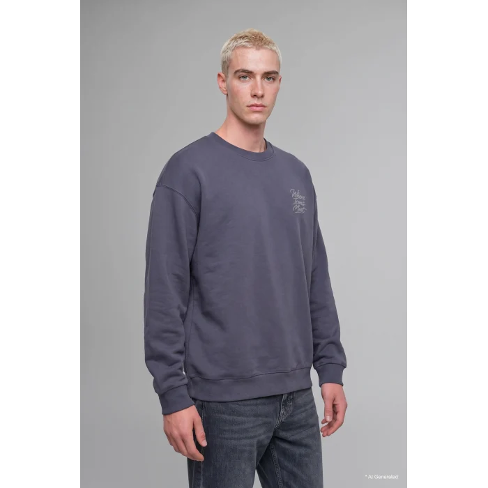 Defacto H9863AXGR328 Gri Boxy Fit Bisiklet Yaka Sırtı Baskılı Sweatshirt