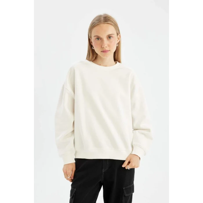 A4177 Sweat Shirt
