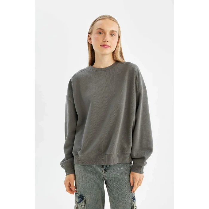 A4177 Sweat Shirt