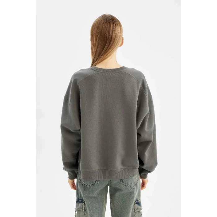 A4177 Sweat Shirt