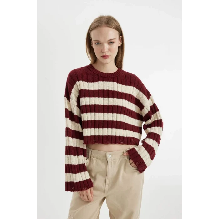 A8152 Regular Fit Çizgili Bisiklet Yaka Triko Kazak