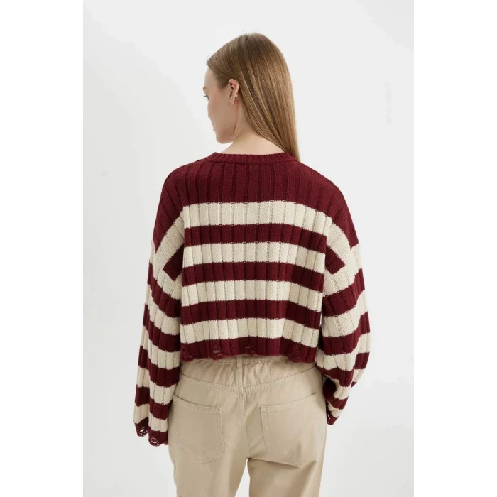 A8152 Regular Fit Çizgili Bisiklet Yaka Triko Kazak