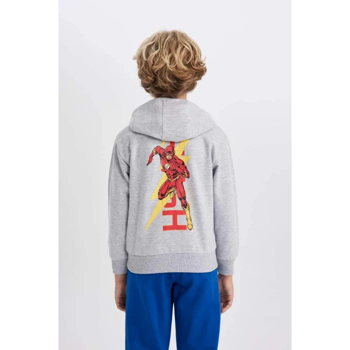 B3589 The Flash Kapüşonlu Kalın Sweatshirt