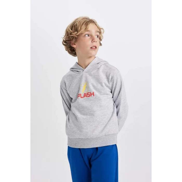 B3589 The Flash Kapüşonlu Kalın Sweatshirt