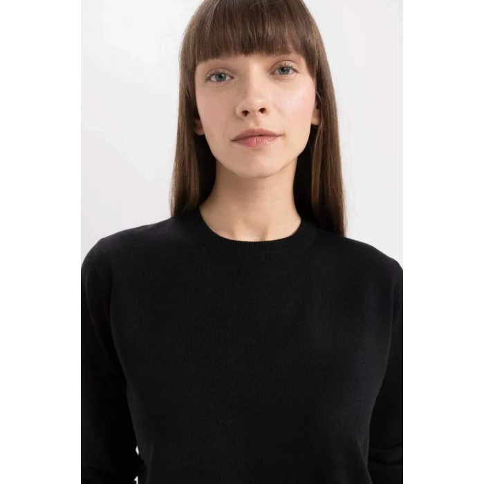 C0058 Siyah Regular Fit Yumuşak Dokulu Bisiklet Yaka Basic Düz Triko Kazak