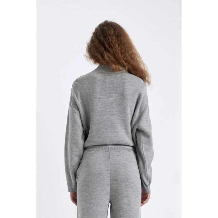 C9223 Coool Regular Fit Polo Yaka Düğmeli Basic Düz Triko Kazak