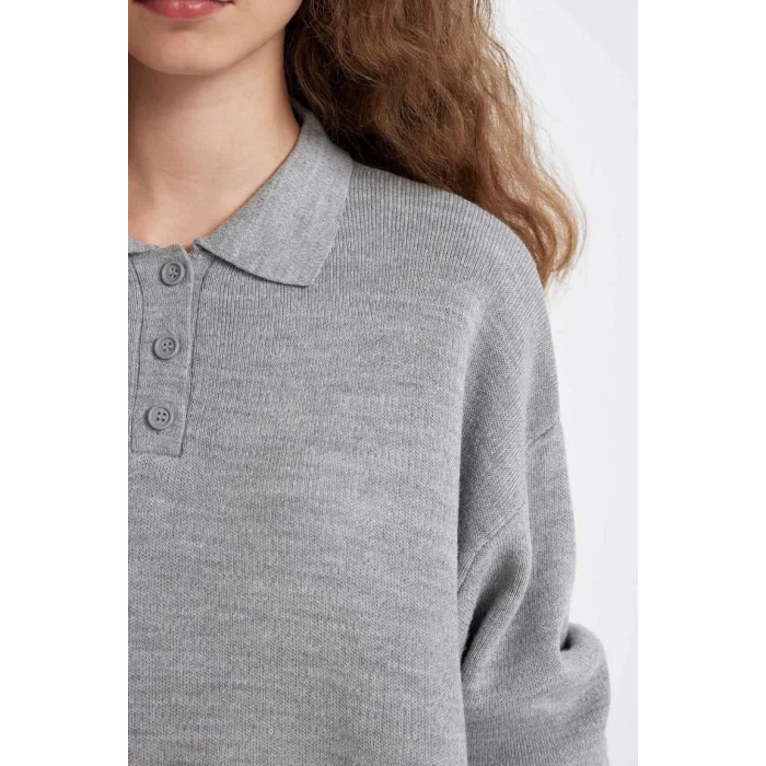 C9223 Coool Regular Fit Polo Yaka Düğmeli Basic Düz Triko Kazak