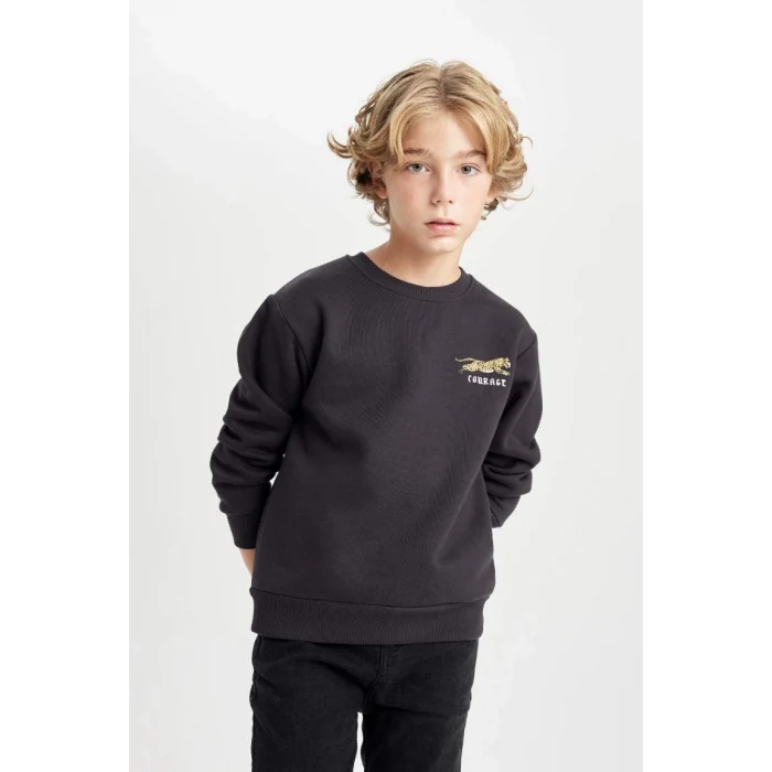 D3091 Baskılı Bisiklet Yaka Baskılı Kalın Siyah Sweatshirt