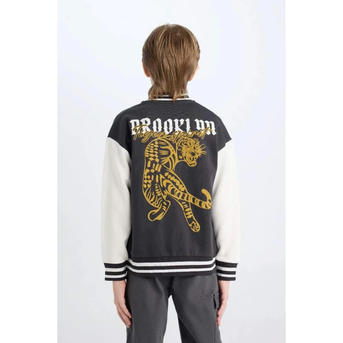 D3098 Kolej Yaka Bomber Hırka