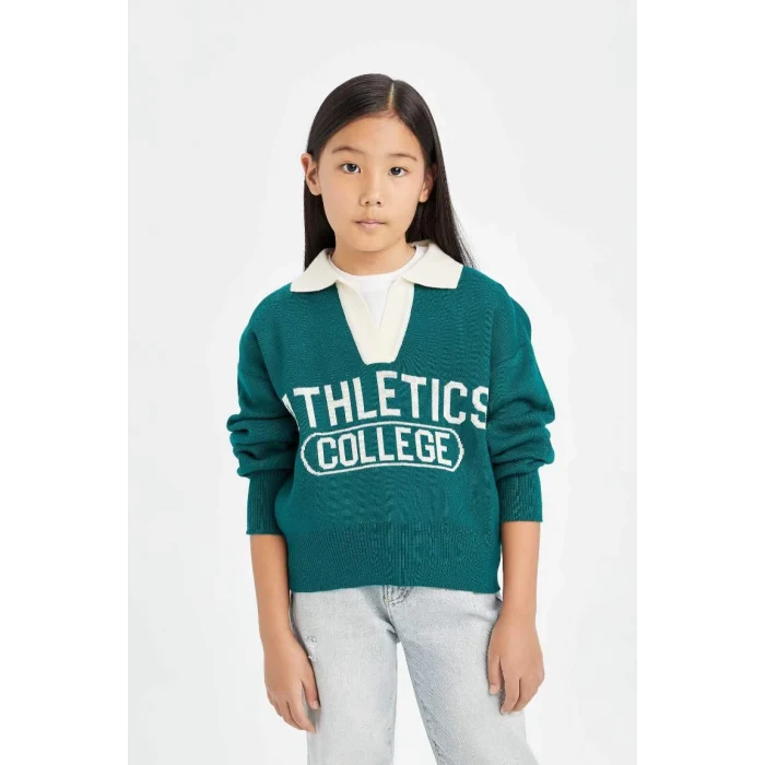 D3190 Regular Fit Polo Yaka Desenli Triko Kazak