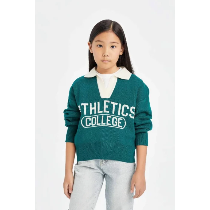 D3190 Regular Fit Polo Yaka Desenli Triko Kazak