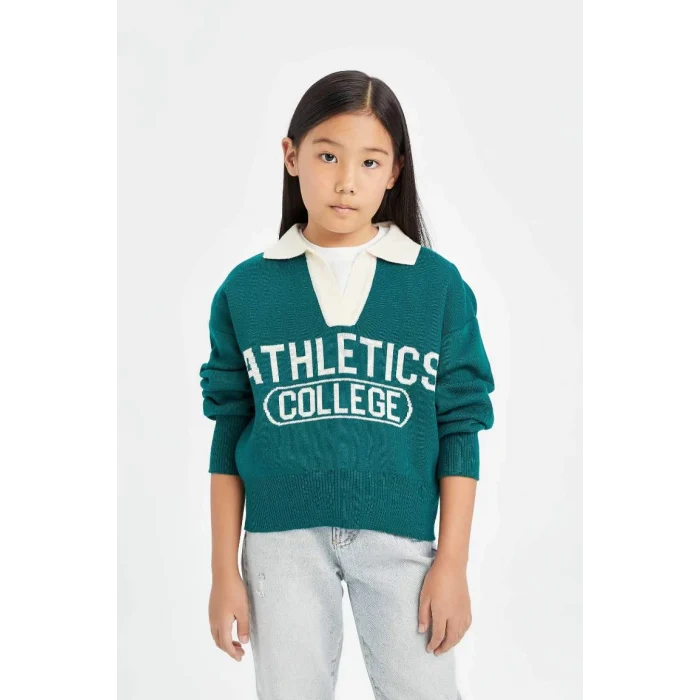 D3190 Regular Fit Polo Yaka Desenli Triko Kazak