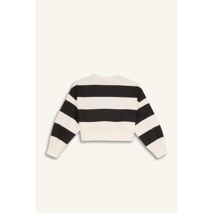 D4091 Çizgili Bisiklet Yaka Sweatshirt Beli Lastikli Jogger Eşofman Altı 2li Takım