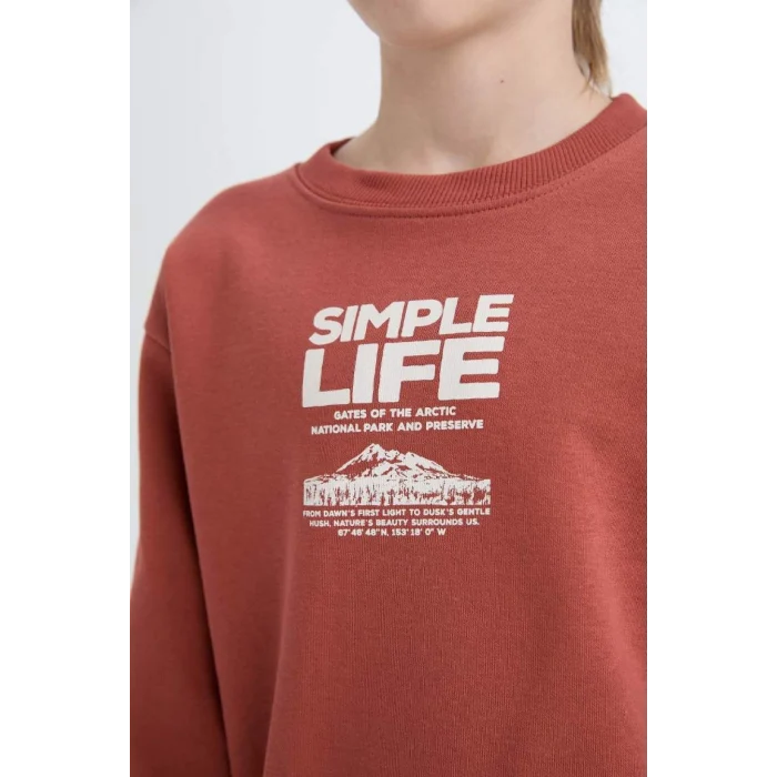 D6209 Regular Fit Bisiklet Yaka Baskılı İçi Yumuşak Tüylü Sweatshirt