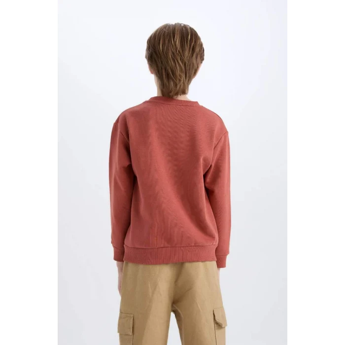 D6209 Regular Fit Bisiklet Yaka Baskılı İçi Yumuşak Tüylü Sweatshirt