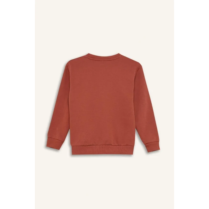 D6209 Regular Fit Bisiklet Yaka Baskılı İçi Yumuşak Tüylü Sweatshirt