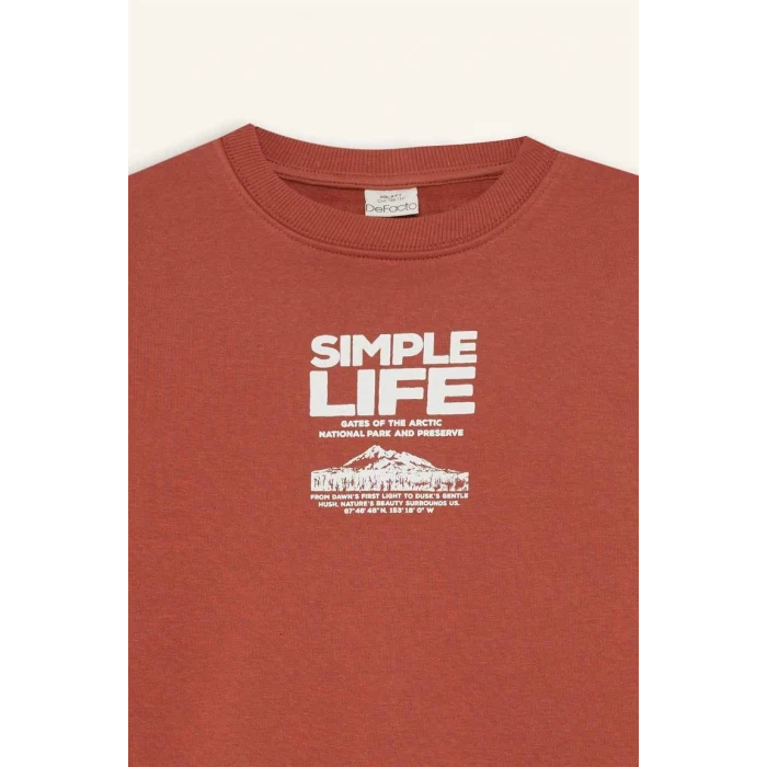 D6209 Regular Fit Bisiklet Yaka Baskılı İçi Yumuşak Tüylü Sweatshirt