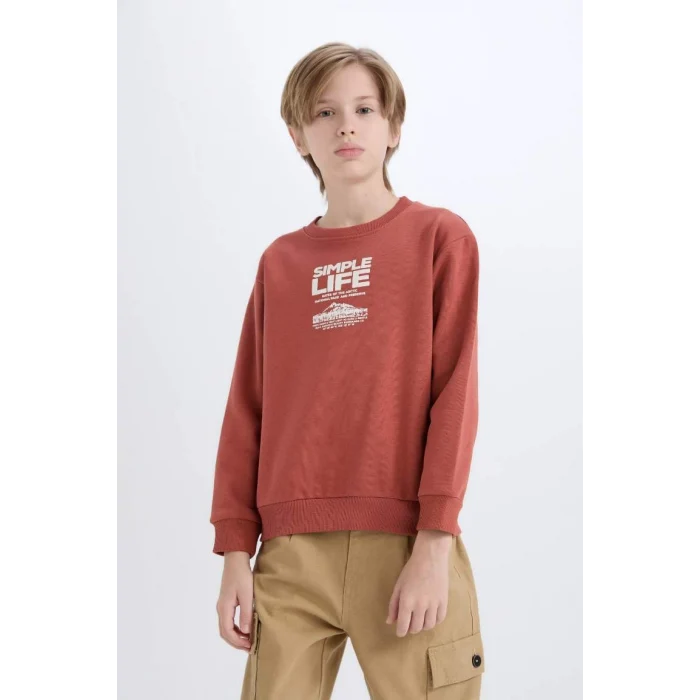 D6209 Regular Fit Bisiklet Yaka Baskılı İçi Yumuşak Tüylü Sweatshirt