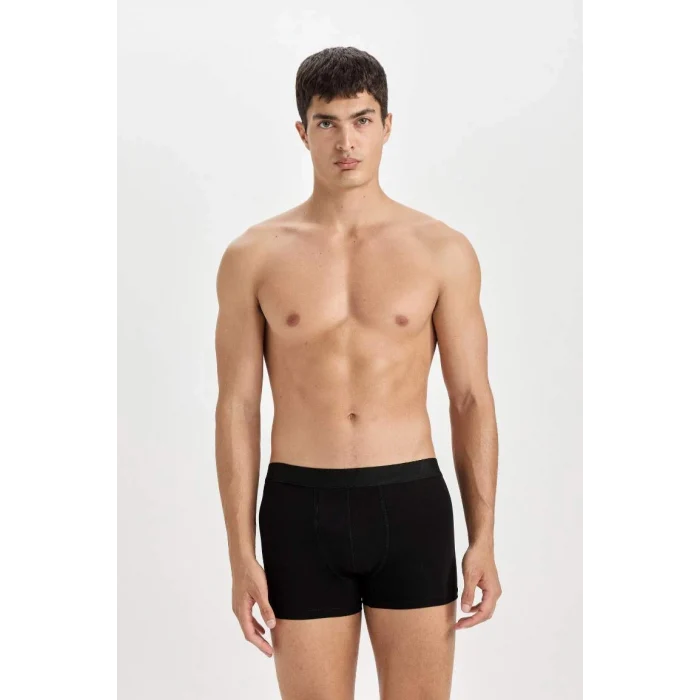 E0125 Regular Fit 3lü Boxer