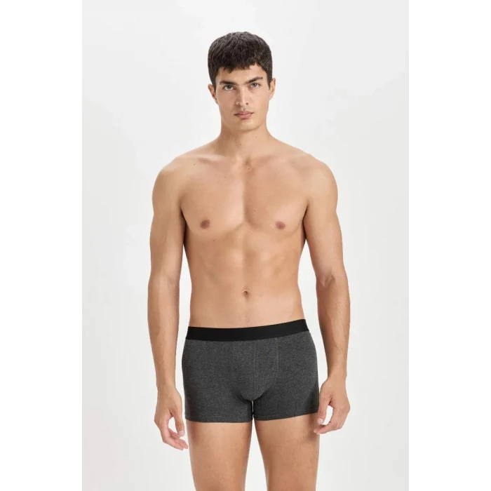E0125 Regular Fit 3lü Boxer