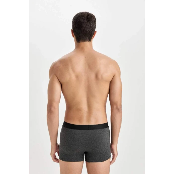 E0125 Regular Fit 3lü Boxer