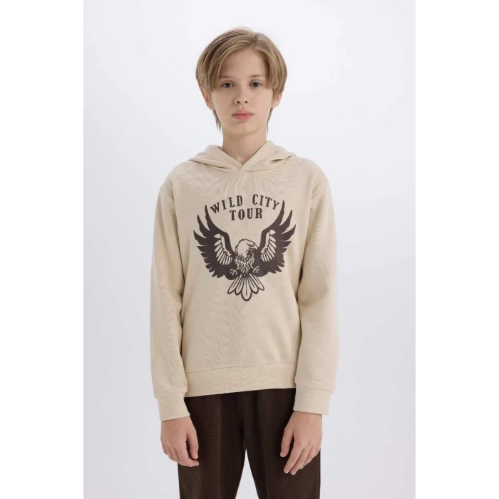 E1931 Erkek Çocuk Kapüşonlu Baskılı Kalın Sweatshirt Beli Lastikli Eşofman Altı 2li Takım