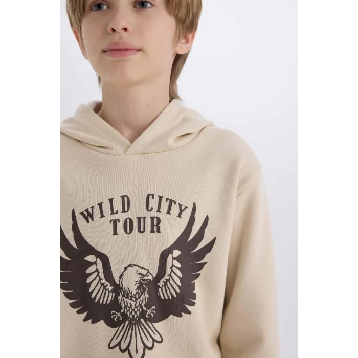 E1931 Erkek Çocuk Kapüşonlu Baskılı Kalın Sweatshirt Beli Lastikli Eşofman Altı 2li Takım