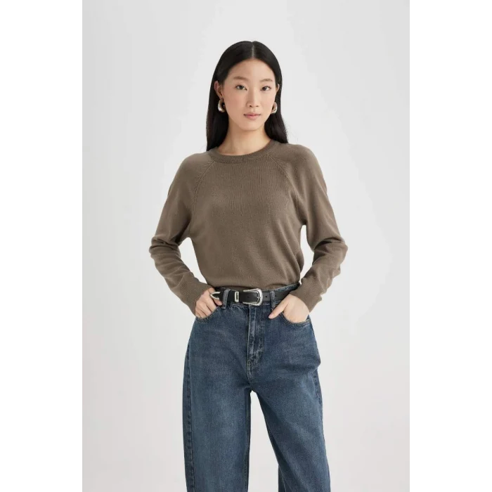 I6913 Regular Fit Yumuşak Dokulu Bisiklet Yaka Basic Düz Triko Kazak