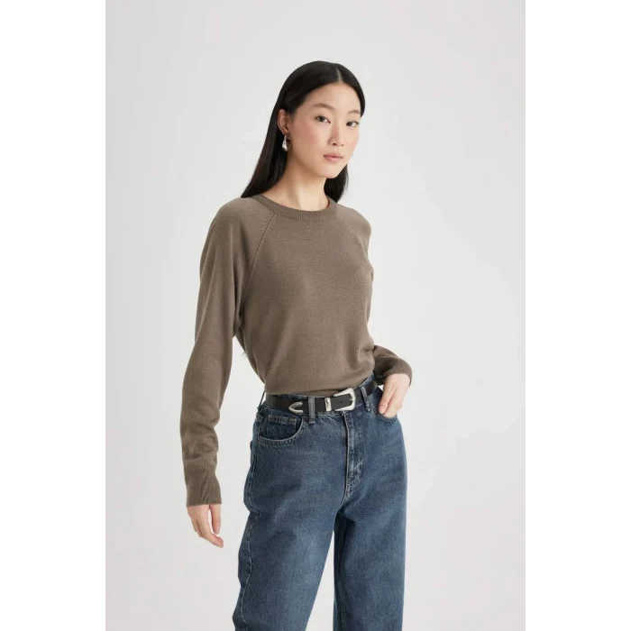 I6913 Regular Fit Yumuşak Dokulu Bisiklet Yaka Basic Düz Triko Kazak