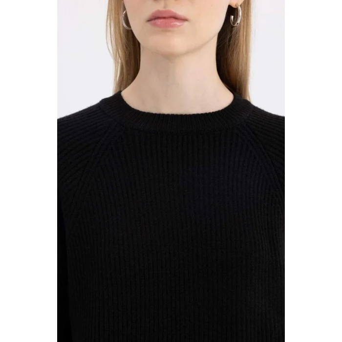 L2567 Coool Regular Fit Bisiklet Yaka Basic Düz Triko Kazak