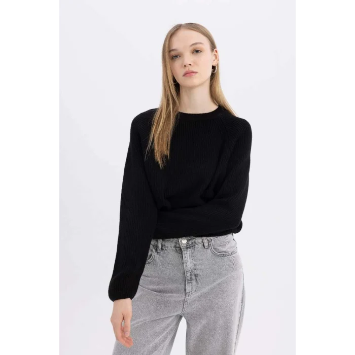 L2567 Coool Regular Fit Bisiklet Yaka Basic Düz Triko Kazak