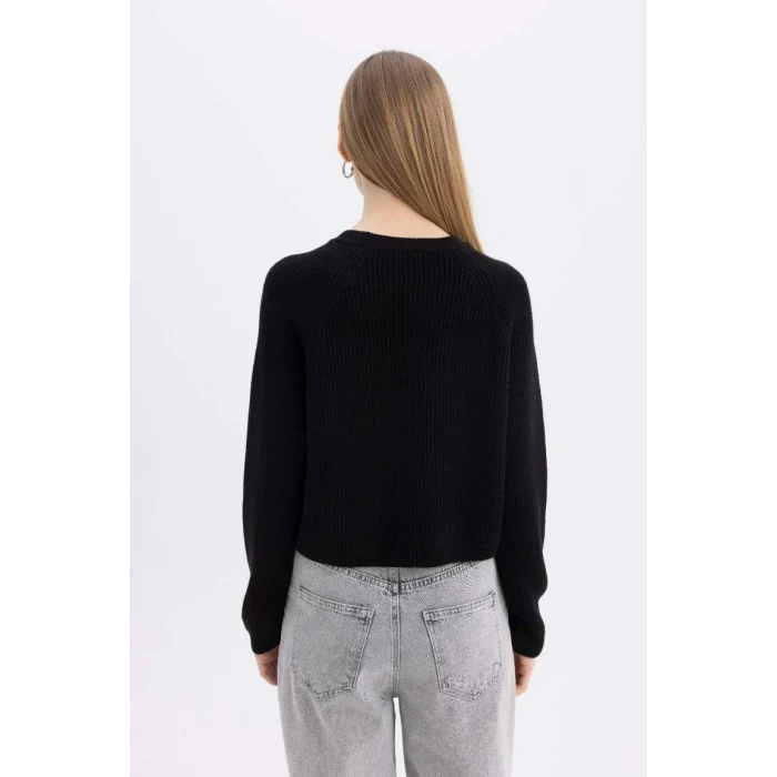 L2567 Coool Regular Fit Bisiklet Yaka Basic Düz Triko Kazak