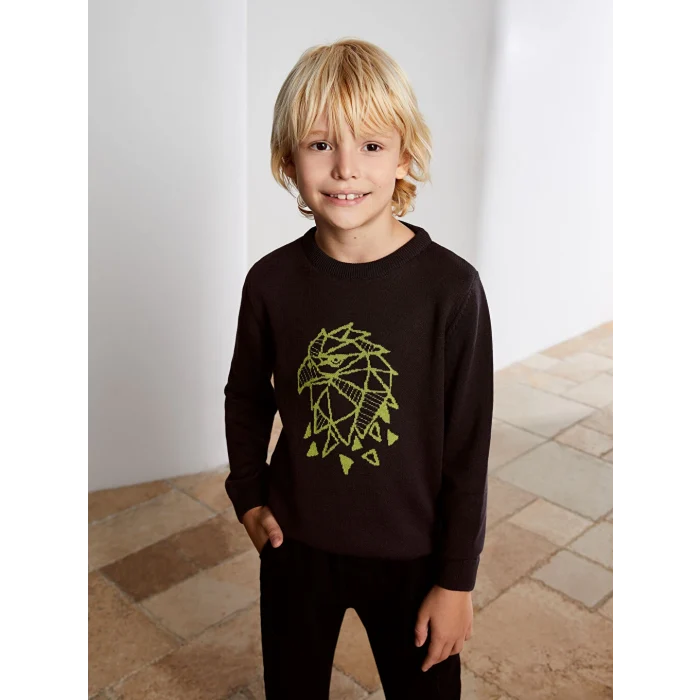 LCW Kids Antrasit Bisiklet Yaka Baskılı Uzun Kollu Erkek Çocuk Triko Kazak