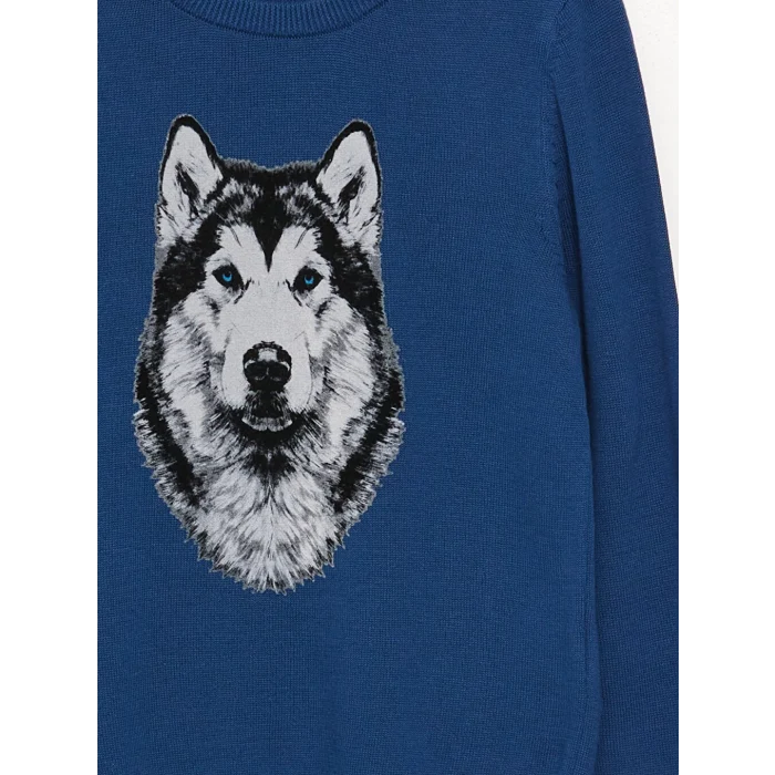 LCW Kids Lacivert Bisiklet Yaka Baskılı Uzun Kollu Erkek Çocuk Triko Kazak