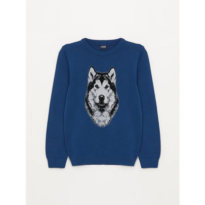 LCW Kids Lacivert Bisiklet Yaka Baskılı Uzun Kollu Erkek Çocuk Triko Kazak