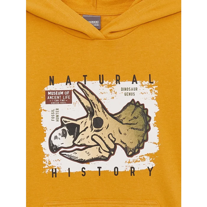 LCW Kids Sarı Baskılı Uzun Kollu Erkek Çocuk Hoodie