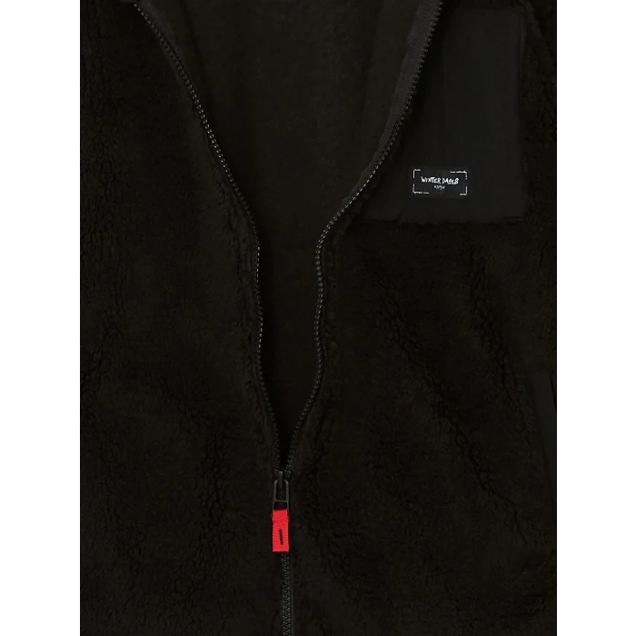LCW Kids Siyah Dik Yaka Erkek Çocuk Polar Hırka