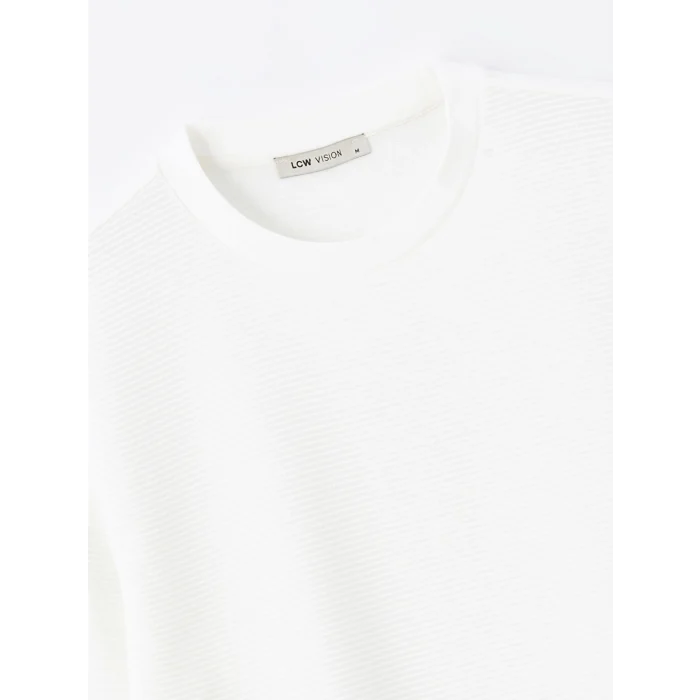 LCW Vision Ekru Bisiklet Yaka Uzun Kollu Erkek Dokulu Sweatshirt